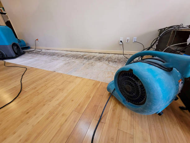 Professional Basement Flood Cleanup technician working in Rockville Centre, NY